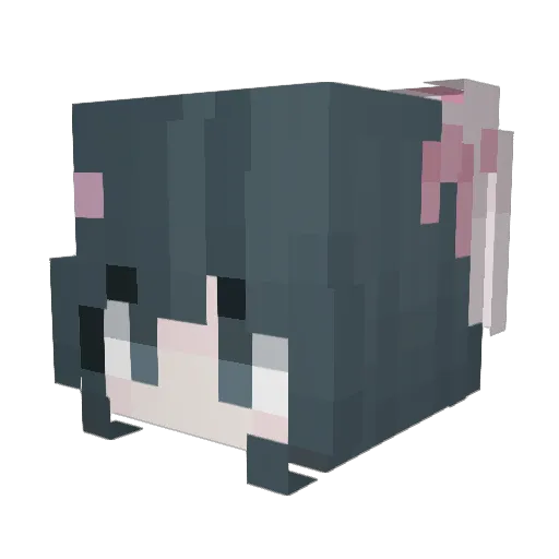 Carnid Minecraft avatar head, 3D render