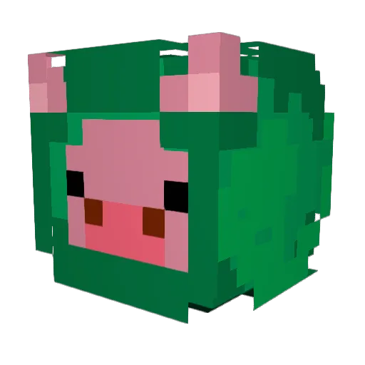 CarnitasCM10 Minecraft avatar head, 3D render
