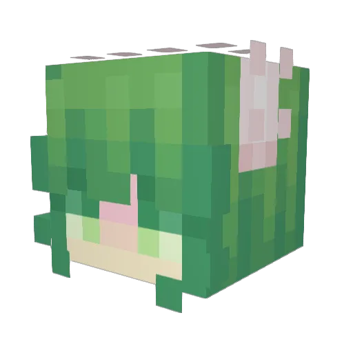CarnivalCore Minecraft avatar head, 3D render