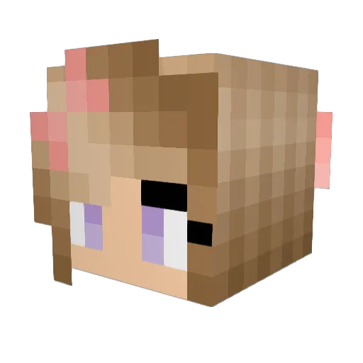 CaroLibellule Minecraft avatar head, 3D render