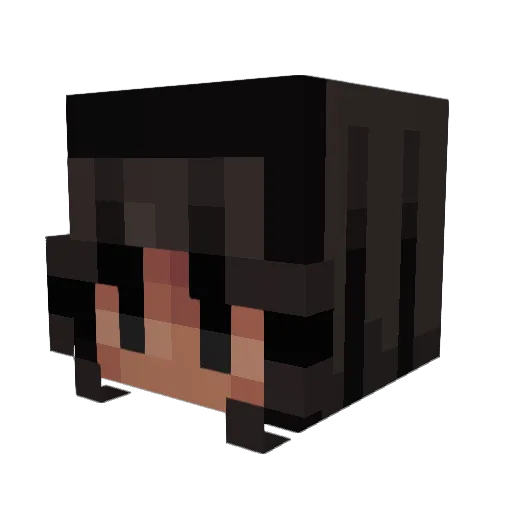 Carol19 Minecraft avatar head, 3D render