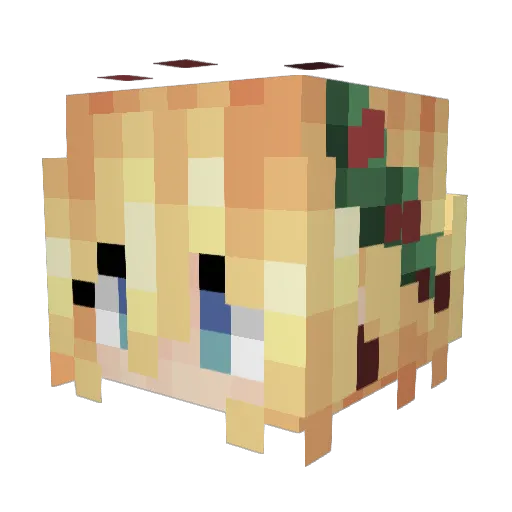 CarolDienheim Minecraft avatar head, 3D render