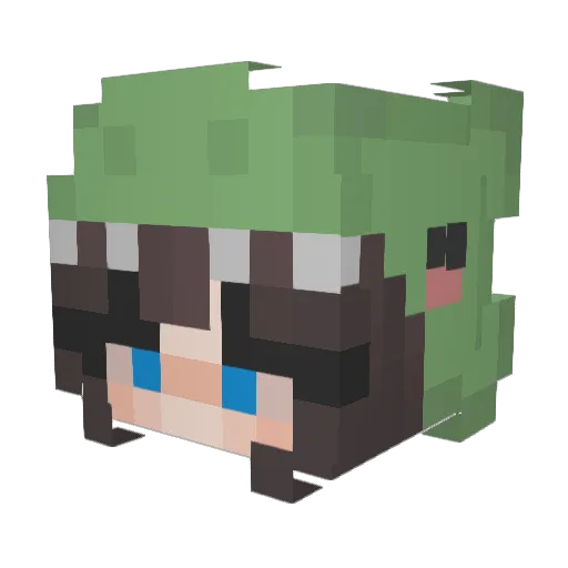 Carolin_2506 Minecraft avatar head, 3D render