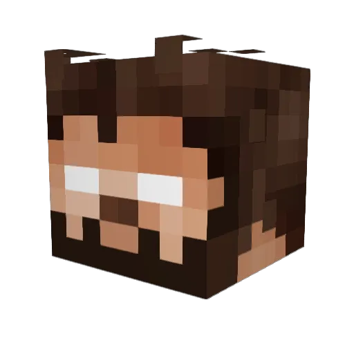 CarolinaBBQ Minecraft avatar head, 3D render