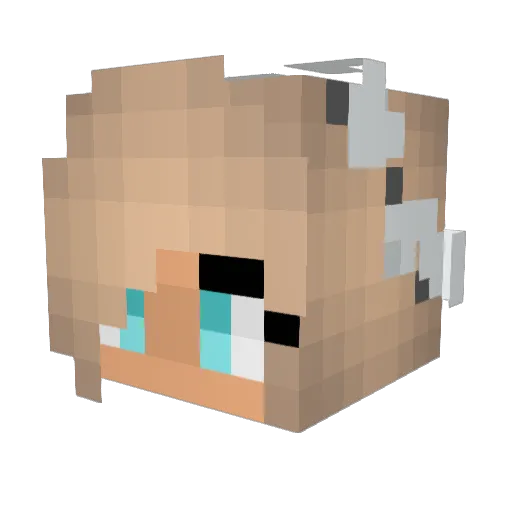 Caroline2610 Minecraft avatar head, 3D render