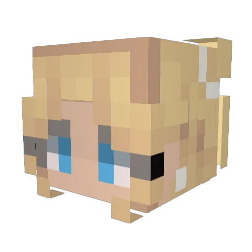 Caroline37 Minecraft avatar head, 3D render
