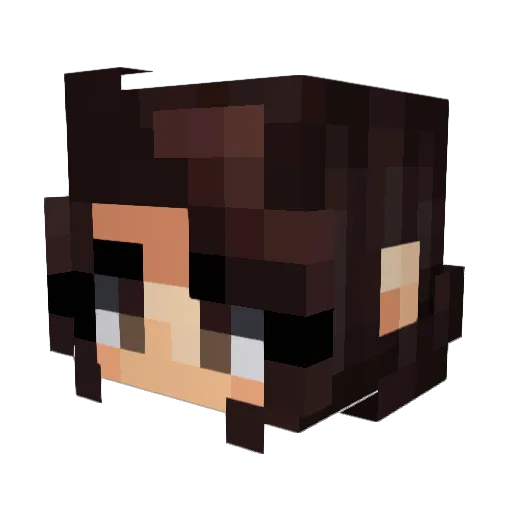 Carolzinh4_ Minecraft avatar head, 3D render