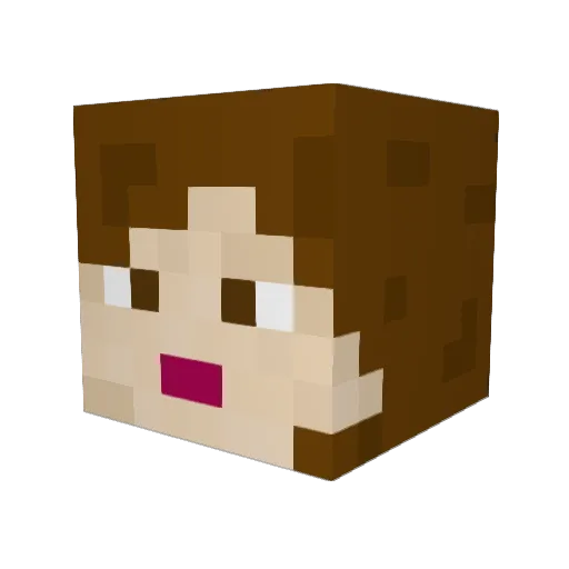 Carooo17 Minecraft avatar head, 3D render