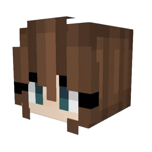 Caroooow Minecraft avatar head, 3D render
