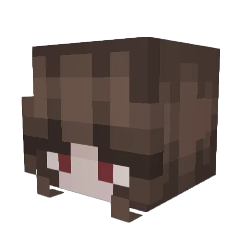 Carosbee Minecraft avatar head, 3D render