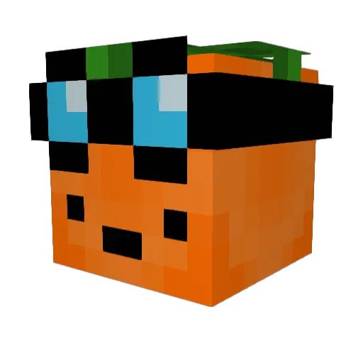 Carote789 Minecraft avatar head, 3D render