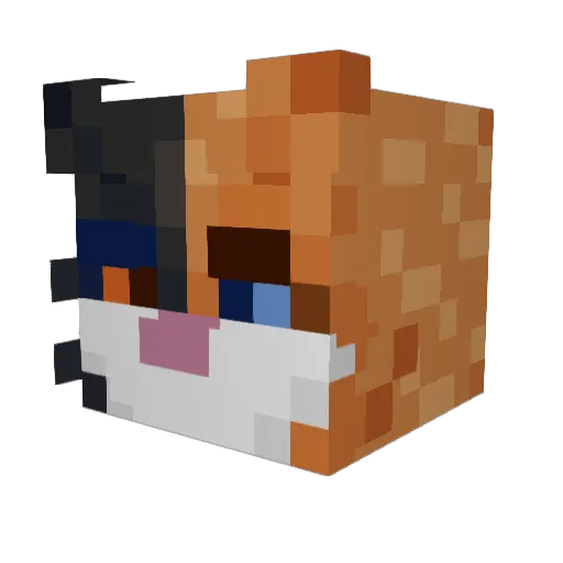 Carousel_Catz Minecraft avatar head, 3D render