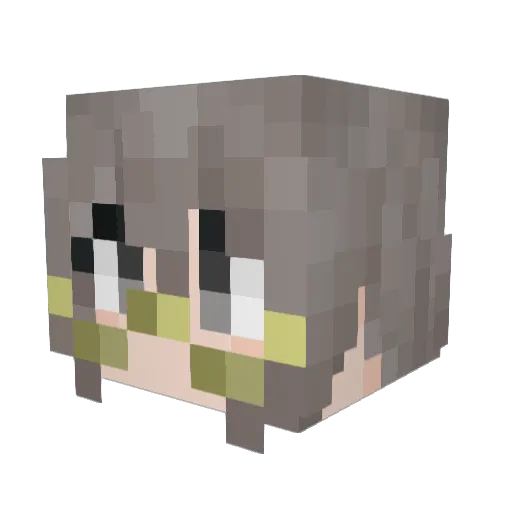 Carp_Soup Minecraft avatar head, 3D render