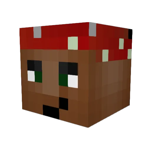 Carp_in_a_box124 Minecraft avatar head, 3D render
