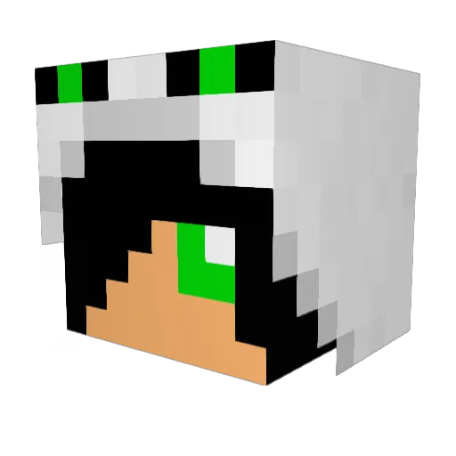 Carp_man405 Minecraft avatar head, 3D render