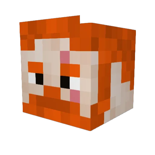 CarpeDeem10 Minecraft avatar head, 3D render
