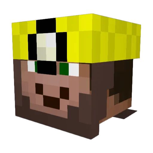CarpenterGuy Minecraft avatar head, 3D render