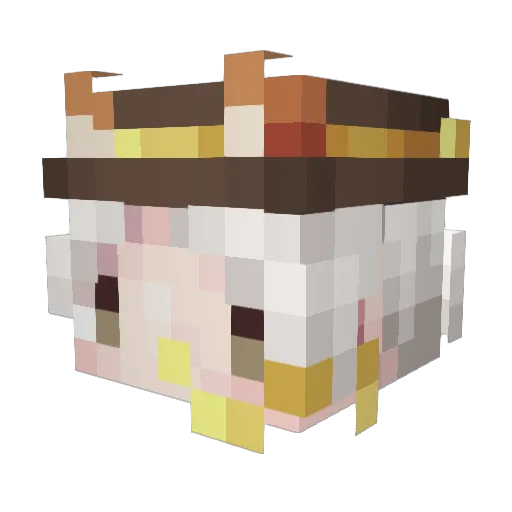 CarpenterNine Minecraft avatar head, 3D render