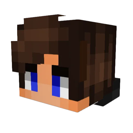 CarpetJr Minecraft avatar head, 3D render