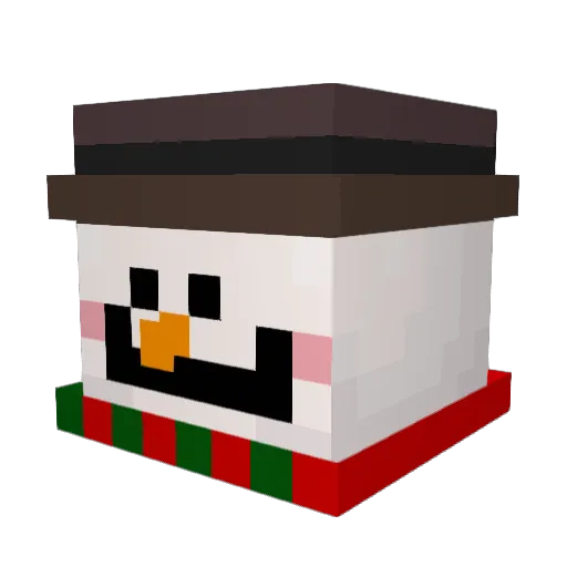 CarpetMunchr420 Minecraft avatar head, 3D render