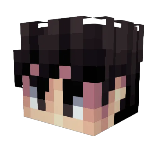 Carpiii Minecraft avatar head, 3D render