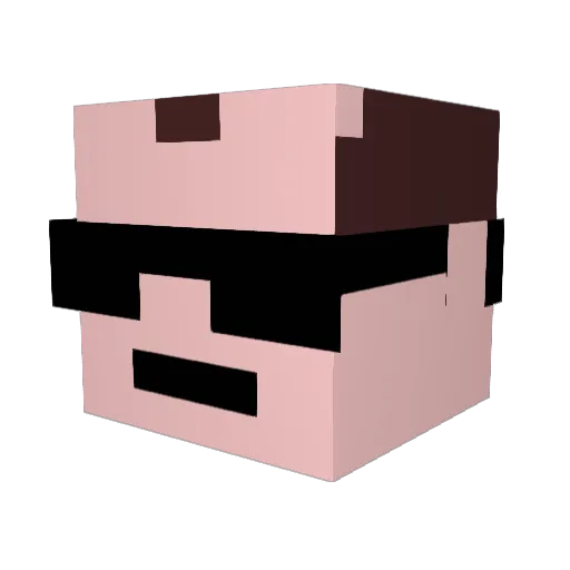 Carpo2 Minecraft avatar head, 3D render