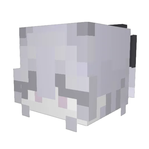 Carpo_CN Minecraft avatar head, 3D render