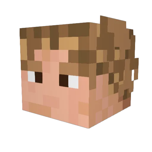 Carppuccino Minecraft avatar head, 3D render