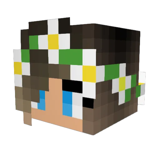CarrMonkey Minecraft avatar head, 3D render