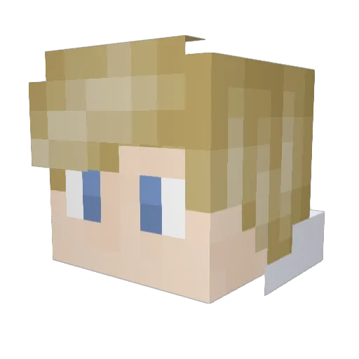 Carracer12 Minecraft avatar head, 3D render
