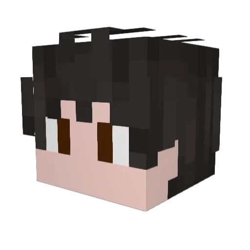 CarramelloKoala Minecraft avatar head, 3D render