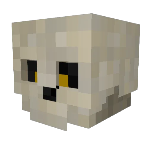 Carre2819 Minecraft avatar head, 3D render