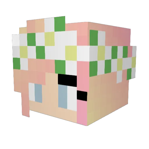 Carrie365 Minecraft avatar head, 3D render