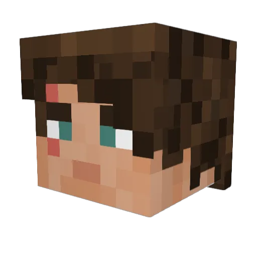 Carrigan1126 Minecraft avatar head, 3D render