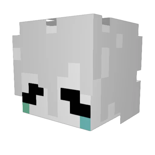 Carrot757557 Minecraft avatar head, 3D render