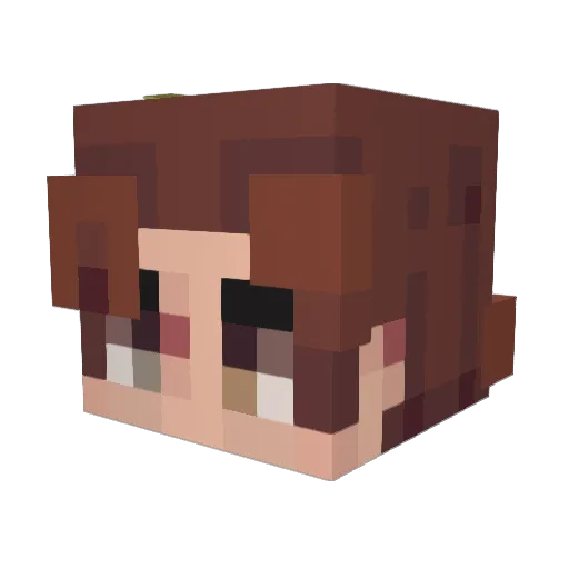CarrotC Minecraft avatar head, 3D render