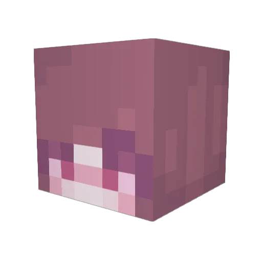 CarrotChara Minecraft avatar head, 3D render