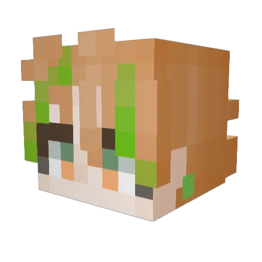 CarrotPotion Minecraft avatar head, 3D render