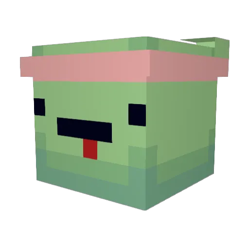 CarrotTurtle64 Minecraft avatar head, 3D render