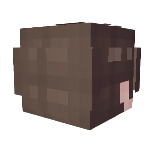 Carrot_M Minecraft avatar head, 3D render
