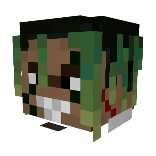 Carrot_Thief22 Minecraft avatar head, 3D render