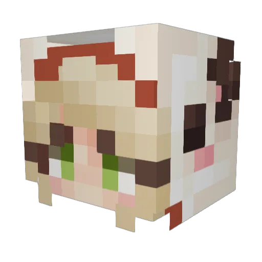 Carrot__Cake Minecraft avatar head, 3D render