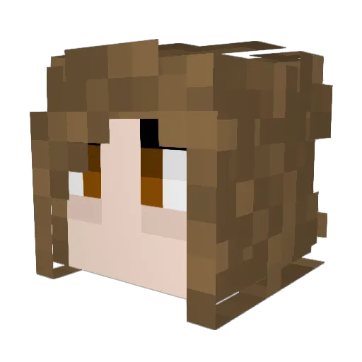 Carru2007 Minecraft avatar head, 3D render