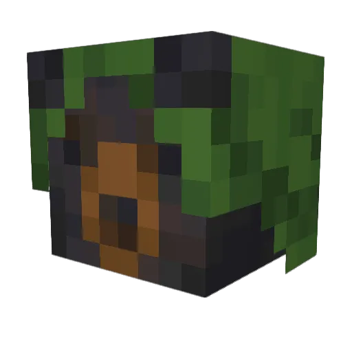 CarsonTheFirst Minecraft avatar head, 3D render
