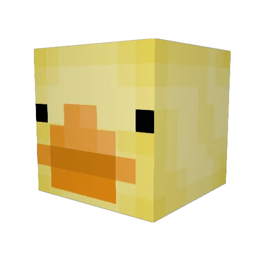 Carson_rules Minecraft avatar head, 3D render