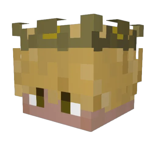 Carsonator109 Minecraft avatar head, 3D render
