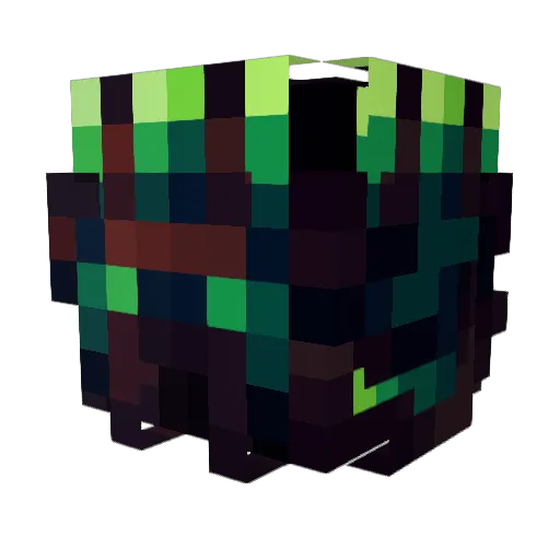 Carsonator333 Minecraft avatar head, 3D render