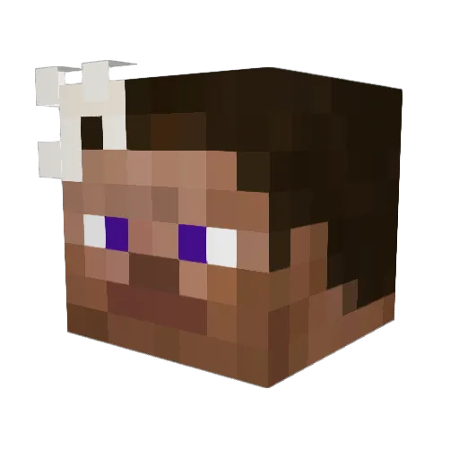 CartelCat Minecraft avatar head, 3D render