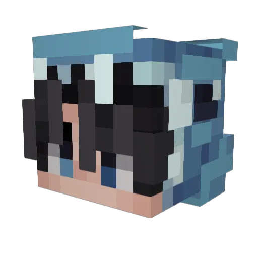 Carter1353 Minecraft avatar head, 3D render
