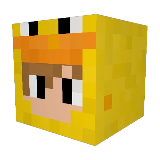 Carter456 Minecraft avatar head, 3D render